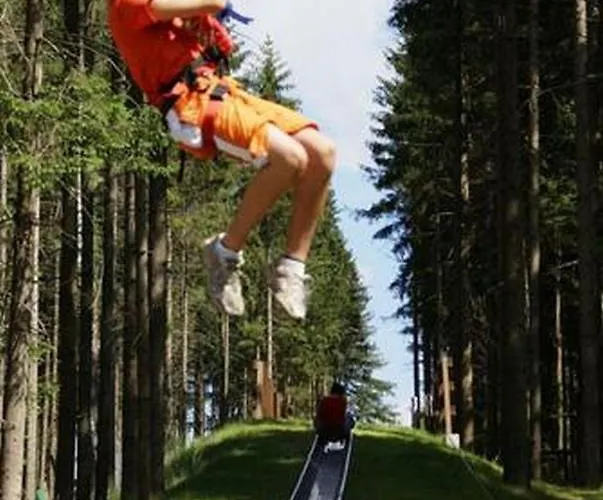 Mm 2 *