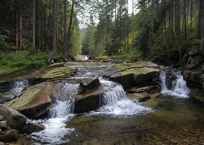 Mm 2 Lägenhet Harrachov